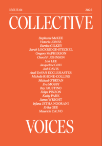collective voices zine cover